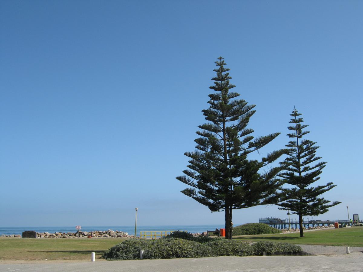 Jetty Self-Catering Otel Swakopmund Dış mekan fotoğraf